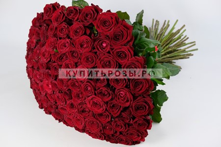 Букет роз 101 Красная роза купить в Москве недорого